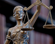 Is it possible to be sentenced to a coma caused by a wedding wrestling person?